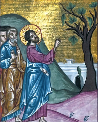 Christ curses the fig tree